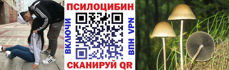 Галлюциногенные грибы MAGIC MUSHROOMS  Купить закладки  Сураж 